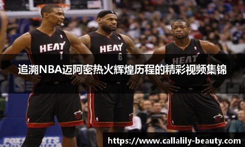 追溯NBA迈阿密热火辉煌历程的精彩视频集锦